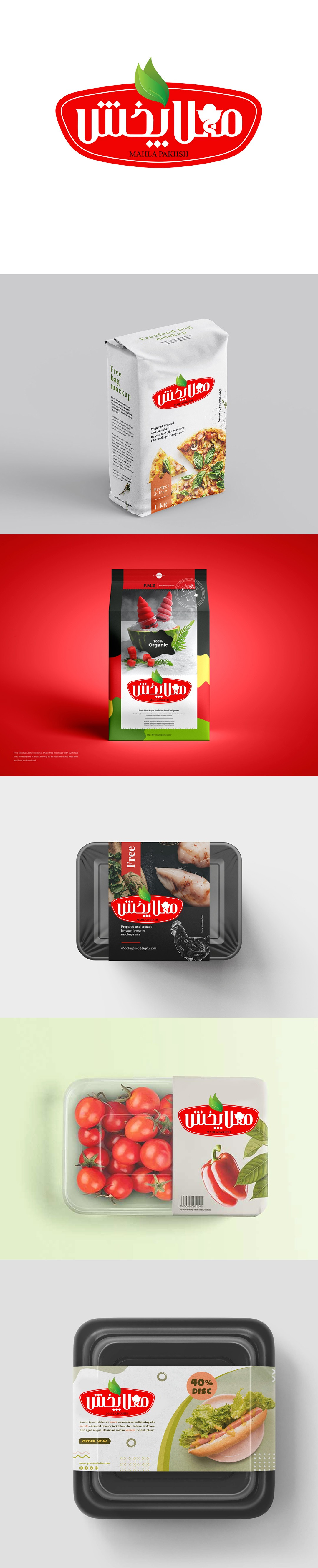 طراحی لوگوی مهلا پخش ۲